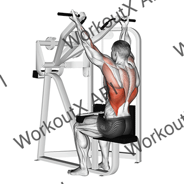 Reverse Grip Machine Lat Pulldown animated GIF