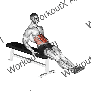 Seated Leg Raise animated GIF