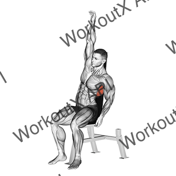 Seated Lower Back Stretch animated GIF