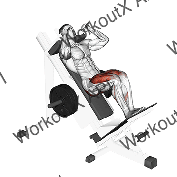 Sled Closer Hack Squat animated GIF