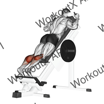 Sled Forward Angled Calf Raise animated GIF