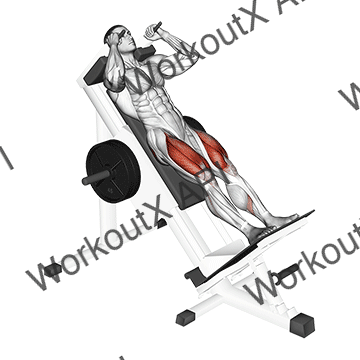 Sled Hack Squat animated GIF