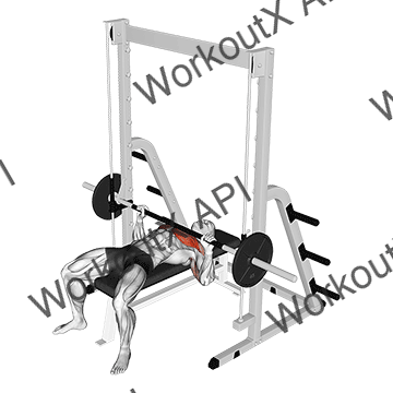 Smith Bench Press animated GIF