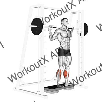 Smith Reverse Calf Raises animated GIF