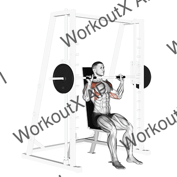 Smith Seated Shoulder Press animated GIF