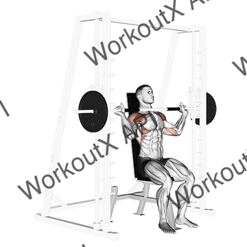 Smith Shoulder Press animated GIF
