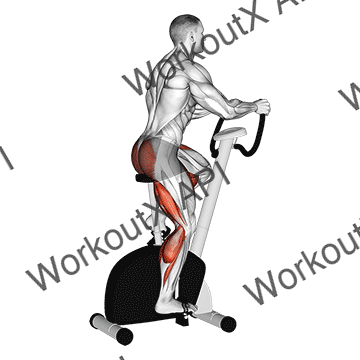 Stationary Bike Walk