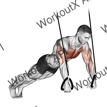 Suspended Push-up animated GIF