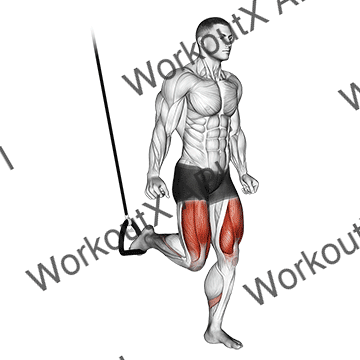 Suspended Split Squat animated GIF
