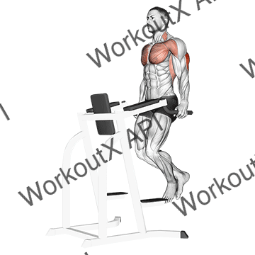 Triceps Dip animated GIF