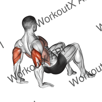 Triceps Dips Floor animated GIF