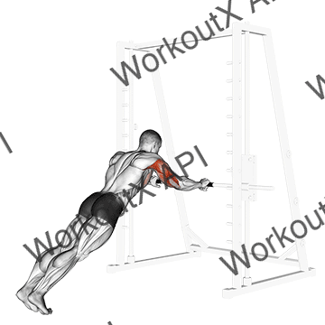 Triceps Press animated GIF