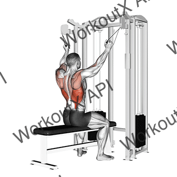 Twin Handle Parallel Grip Lat Pulldown animated GIF
