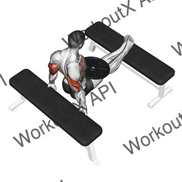 Weighted Bench Dip animated GIF