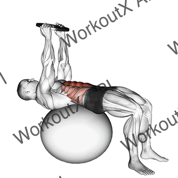 Weighted Overhead Crunch (on Stability Ball) animated GIF