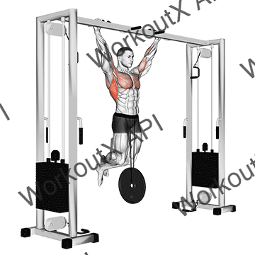 Weighted Pull-up animated GIF
