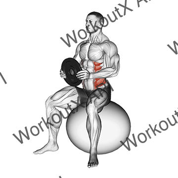 Weighted Seated Twist (on Stability Ball) animated GIF