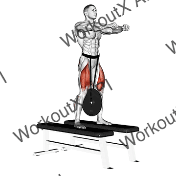 Weighted Squat animated GIF