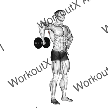 Dumbbell Upright Shoulder External Rotation animated GIF