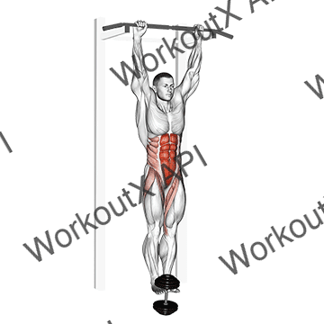 Weighted Hanging Leg-hip Raise animated GIF