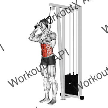 Cable Standing Crunch (with Rope Attachment) animated GIF