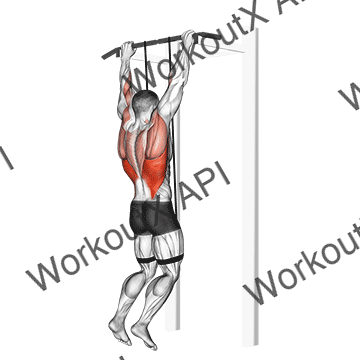 Band Assisted Pull-up animated GIF
