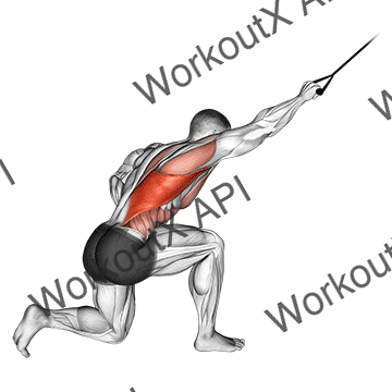 Band Kneeling One Arm Pulldown animated GIF