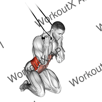 Band Kneeling Twisting Crunch animated GIF