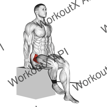 Band Seated Hip Internal Rotation animated GIF
