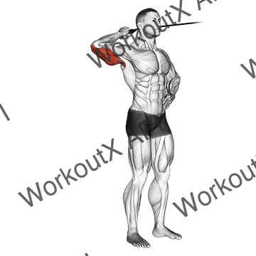 Band Side Triceps Extension animated GIF