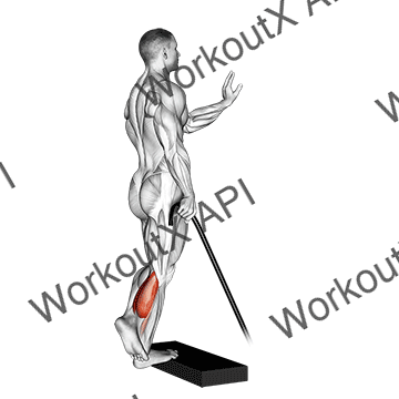 Band Single Leg Calf Raise animated GIF