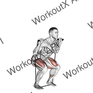 Band Squat animated GIF