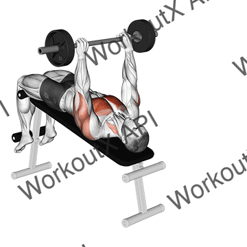 Barbell Decline Pullover animated GIF