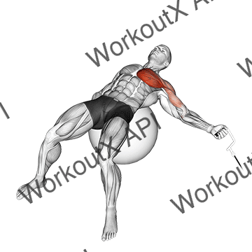 Cable One Arm Fly On Exercise Ball animated GIF
