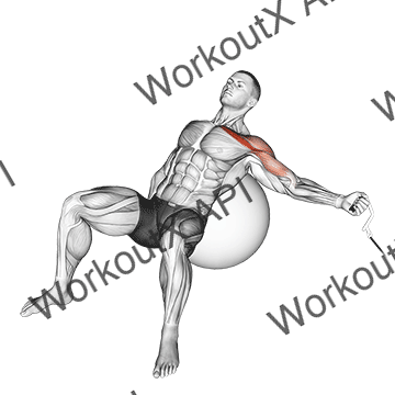 Cable One Arm Incline Fly On Exercise Ball animated GIF