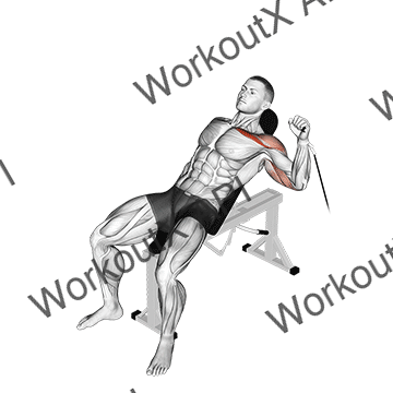 Cable One Arm Incline Press animated GIF