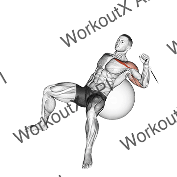 Cable One Arm Incline Press On Exercise Ball animated GIF
