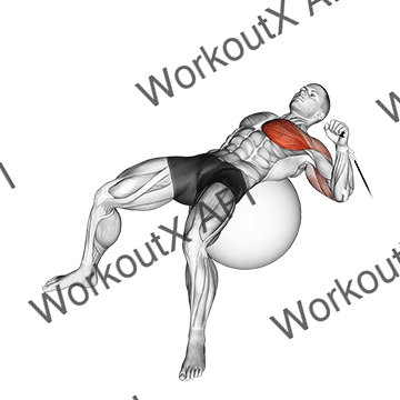 Cable One Arm Press On Exercise Ball animated GIF