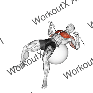 Cable Press On Exercise Ball animated GIF