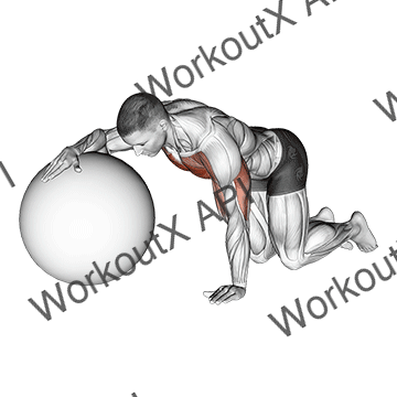 Chest Stretch With Exercise Ball animated GIF
