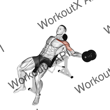 Dumbbell Incline One Arm Fly animated GIF