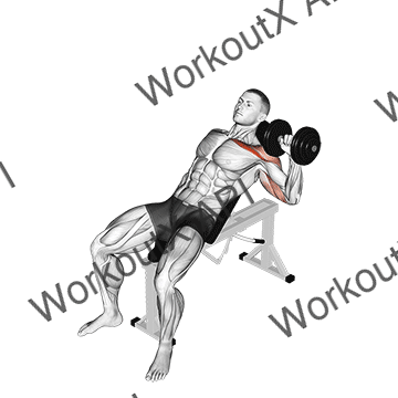 Dumbbell Incline One Arm Press animated GIF