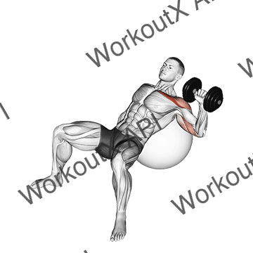 Dumbbell Incline One Arm Press On Exercise Ball animated GIF