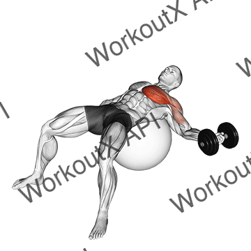 Dumbbell One Arm Chest Fly On Exercise Ball animated GIF