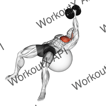 Dumbbell One Arm Fly On Exercise Ball animated GIF