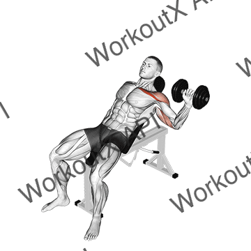 Dumbbell One Arm Incline Chest Press animated GIF
