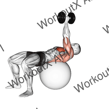 Dumbbell One Arm Pullover On Exercise Ball animated GIF