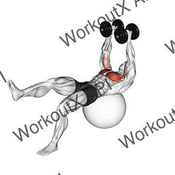 Dumbbell One Leg Fly On Exercise Ball animated GIF