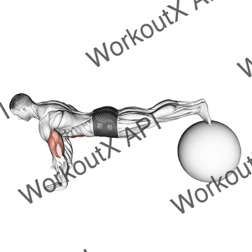 Exercise Ball Pike Push Up animated GIF