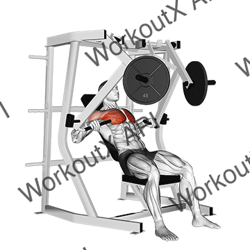 Lever Decline Chest Press animated GIF
